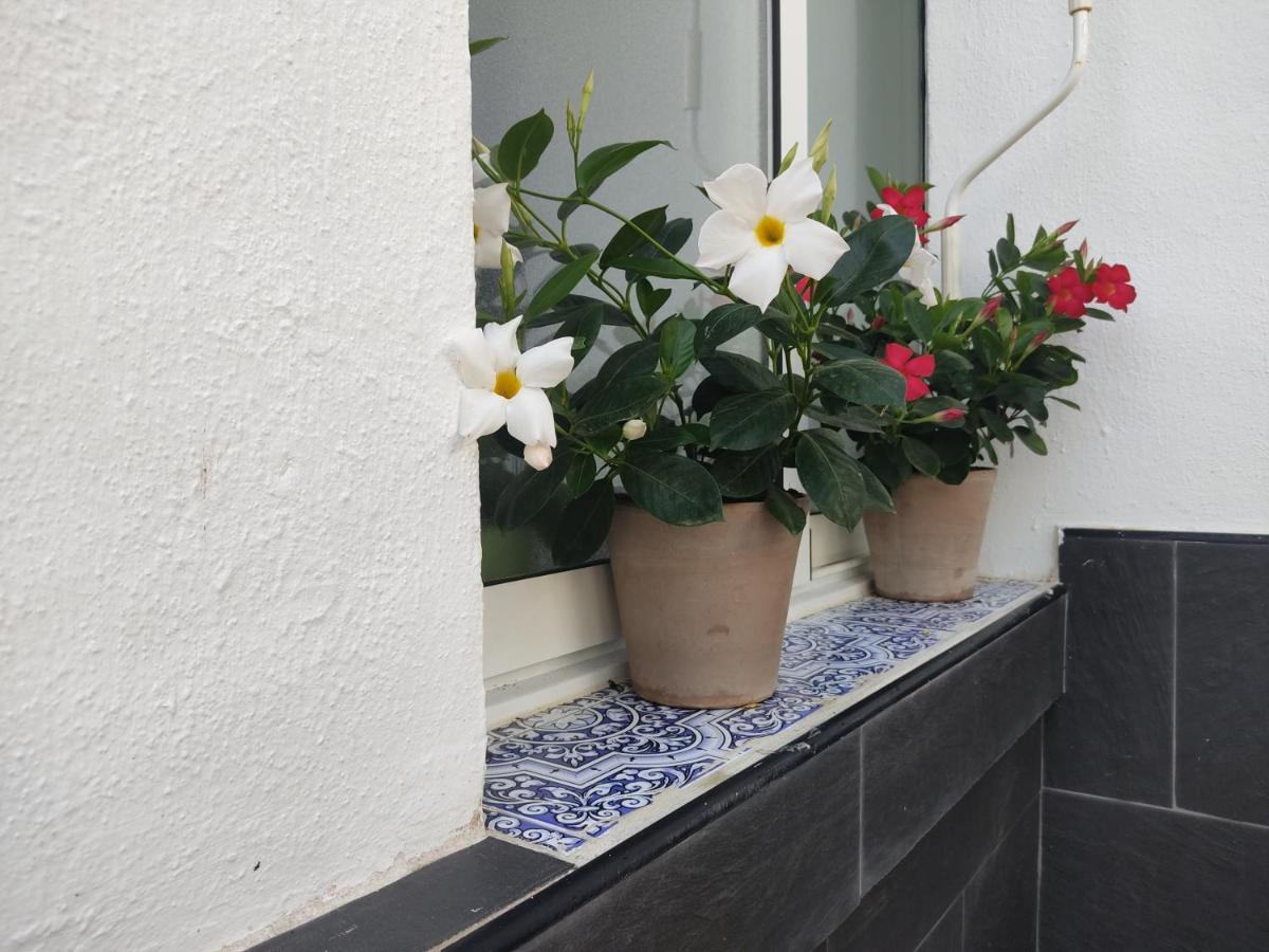 Apartamento 700 Metros De La Playa Playa Flamenca Eksteriør billede